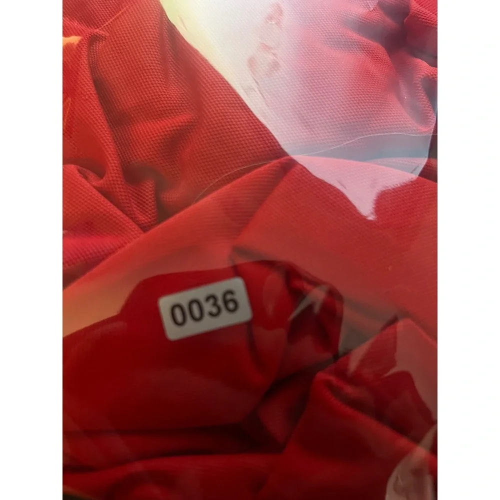 Nike Dri-FIT Mens Red Short Sleeve Golf Polo Shirt Standard Fit XL